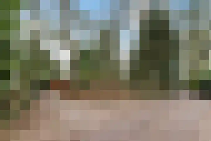 Kawoepersteeg 40 38 Ermelo thumbnail 52