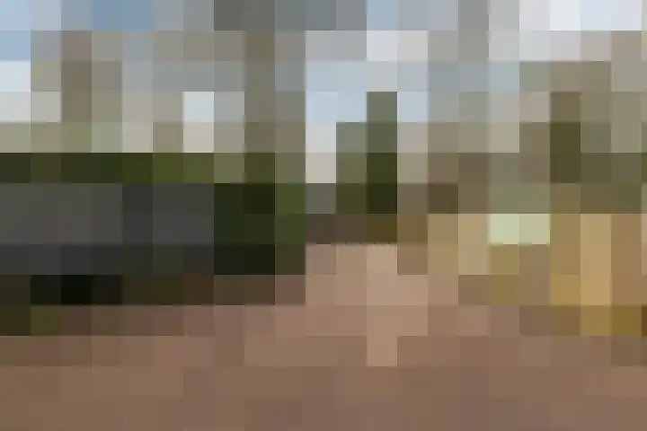 Kawoepersteeg 40 38 Ermelo thumbnail 53