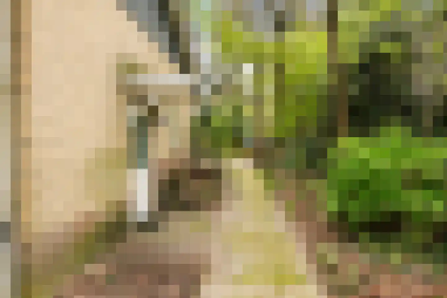 Kawoepersteeg 40 47 Ermelo thumbnail 17