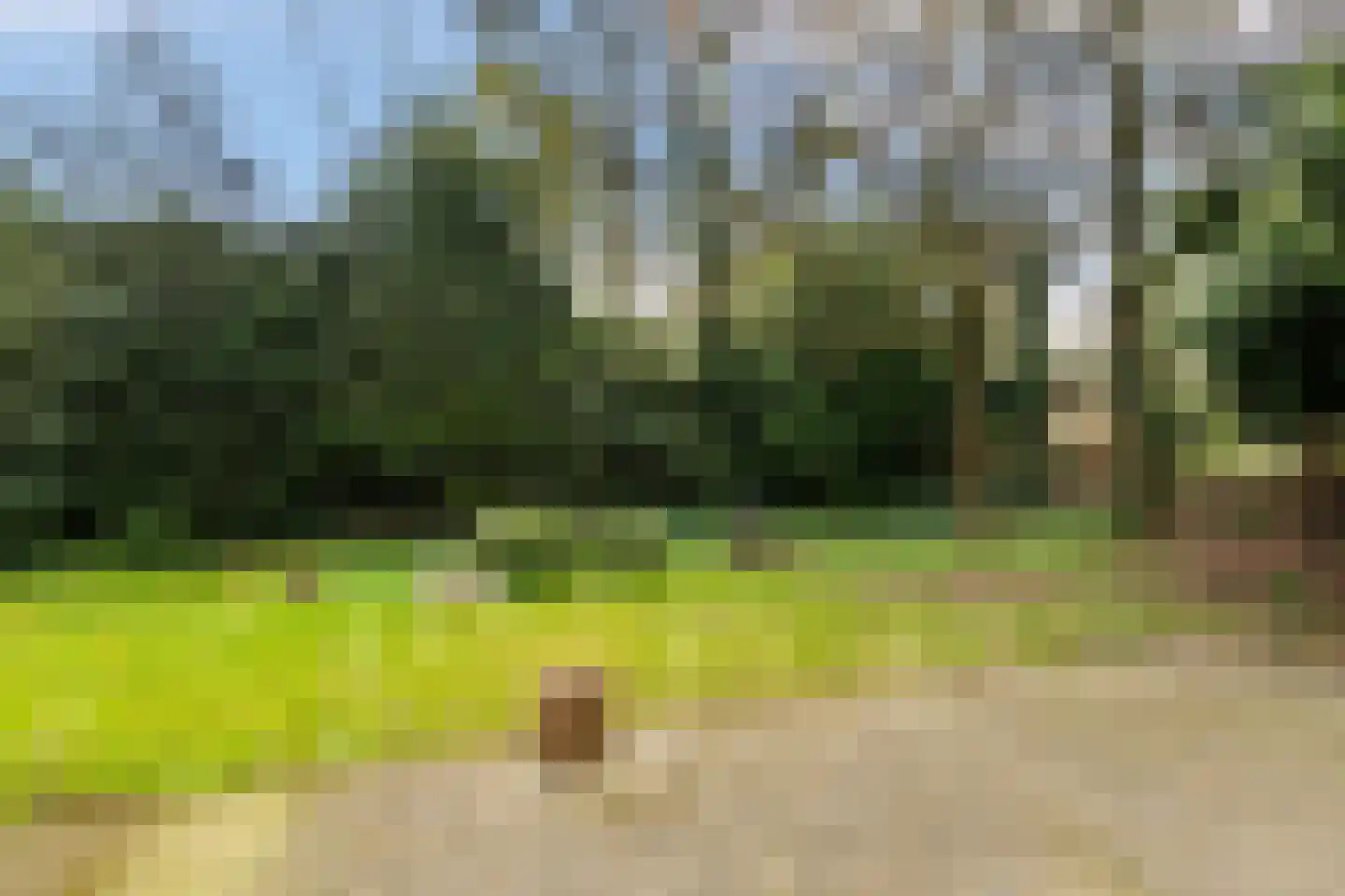 Kawoepersteeg 40 47 Ermelo thumbnail 28