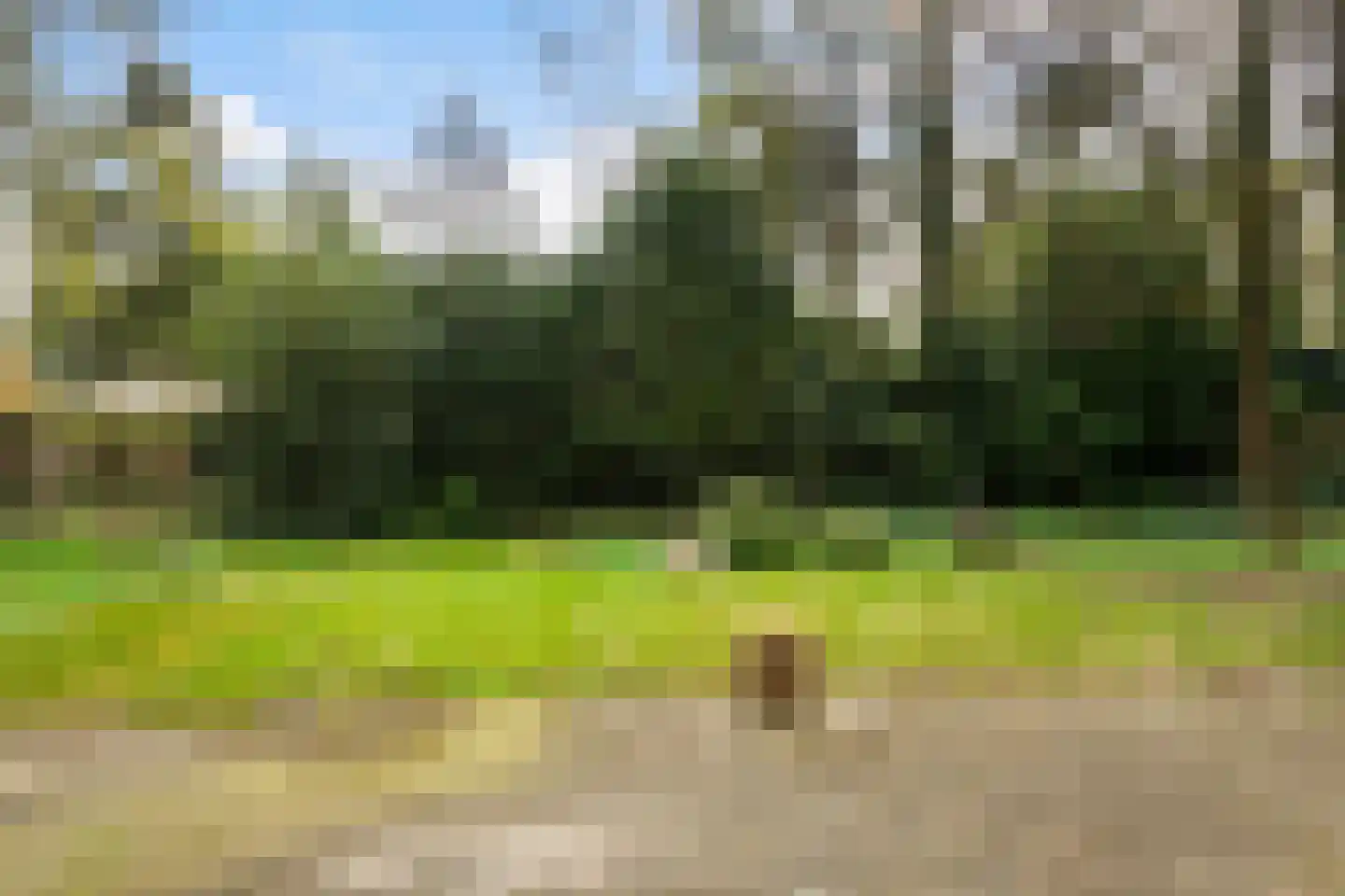 Kawoepersteeg 40 47 Ermelo thumbnail 29
