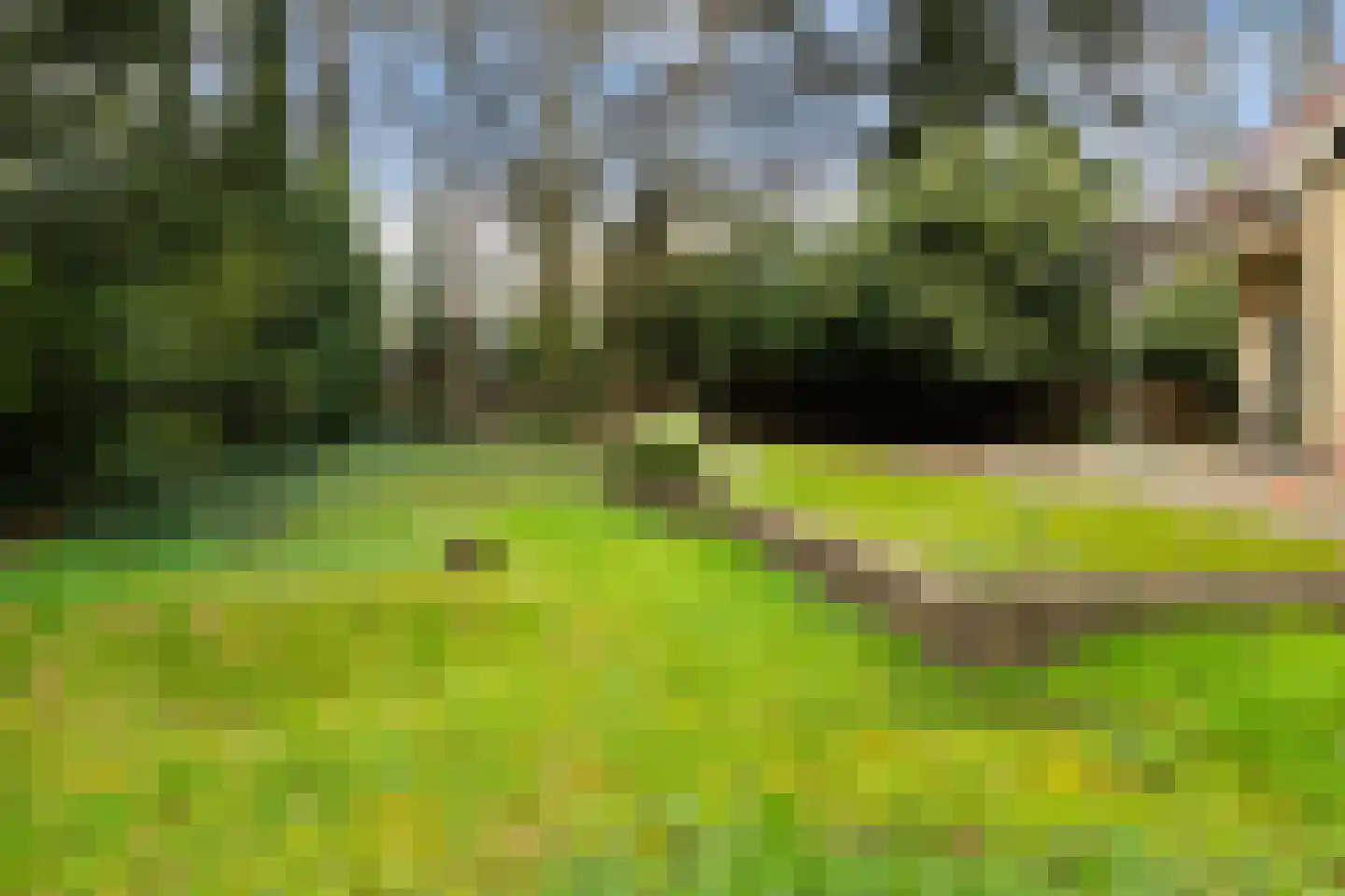 Kawoepersteeg 40 47 Ermelo thumbnail 30