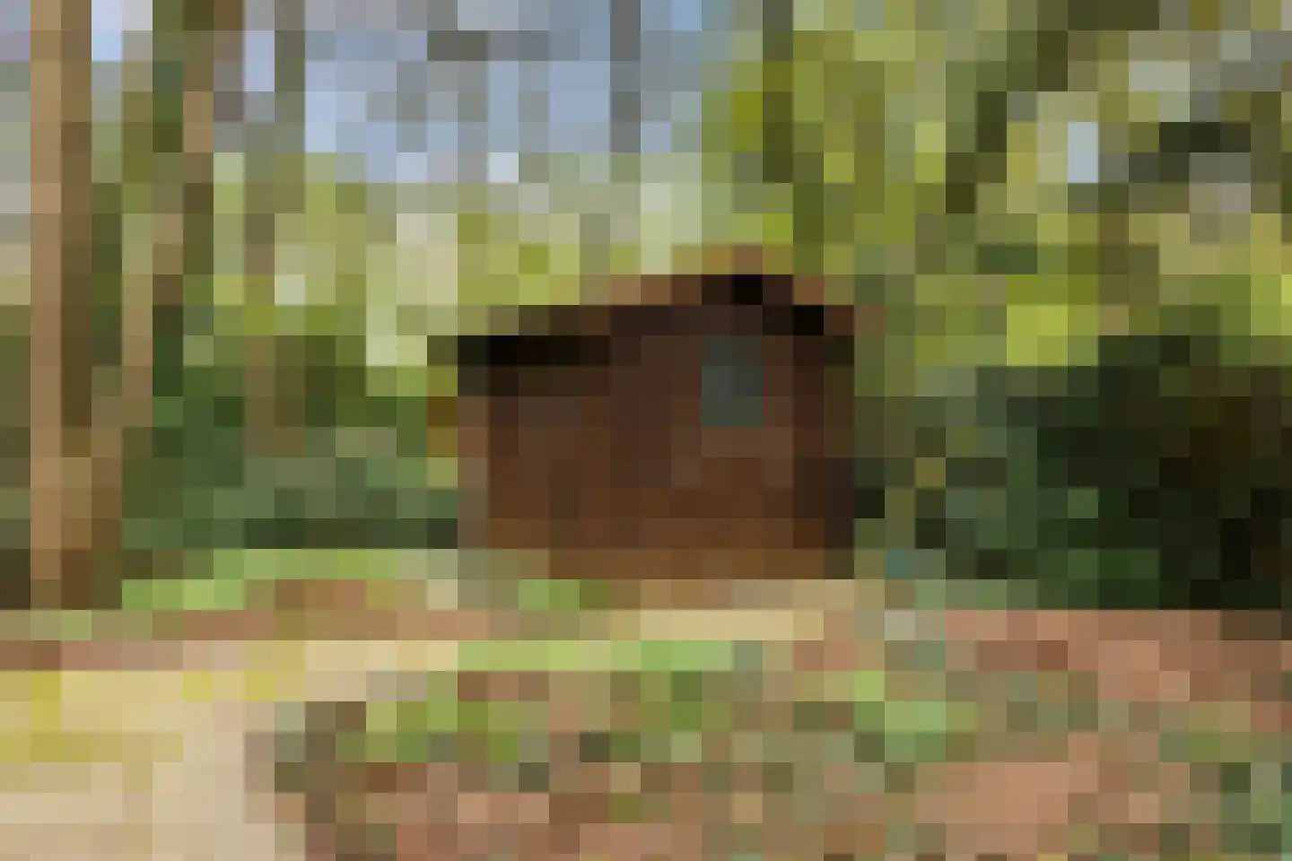 Kawoepersteeg 40 47 Ermelo thumbnail 32