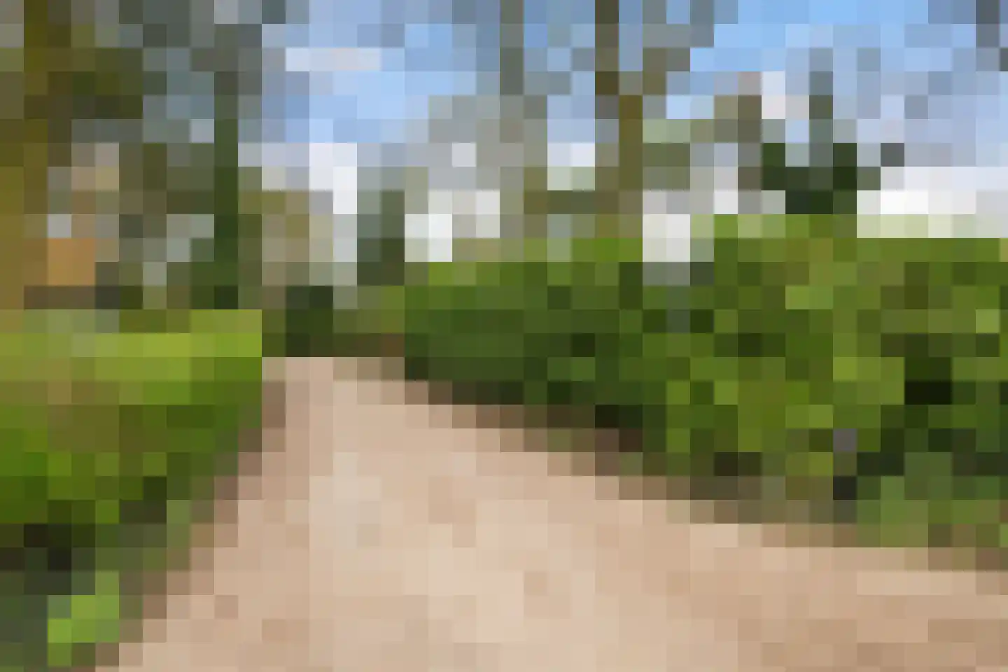 Kawoepersteeg 40 47 Ermelo thumbnail 34