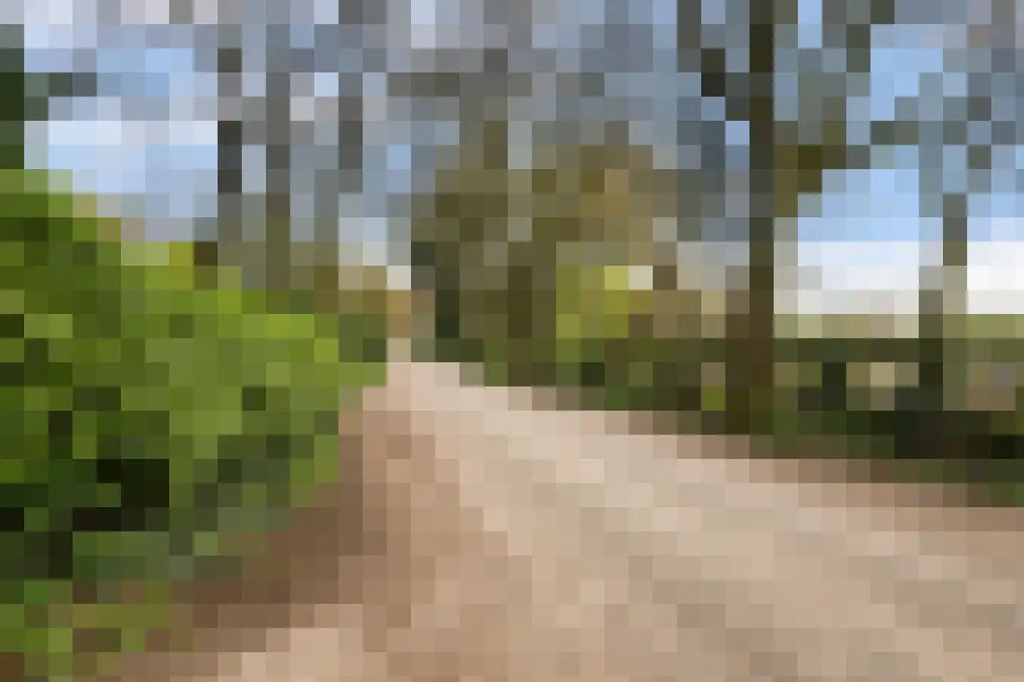 Kawoepersteeg 40 47 Ermelo thumbnail 35