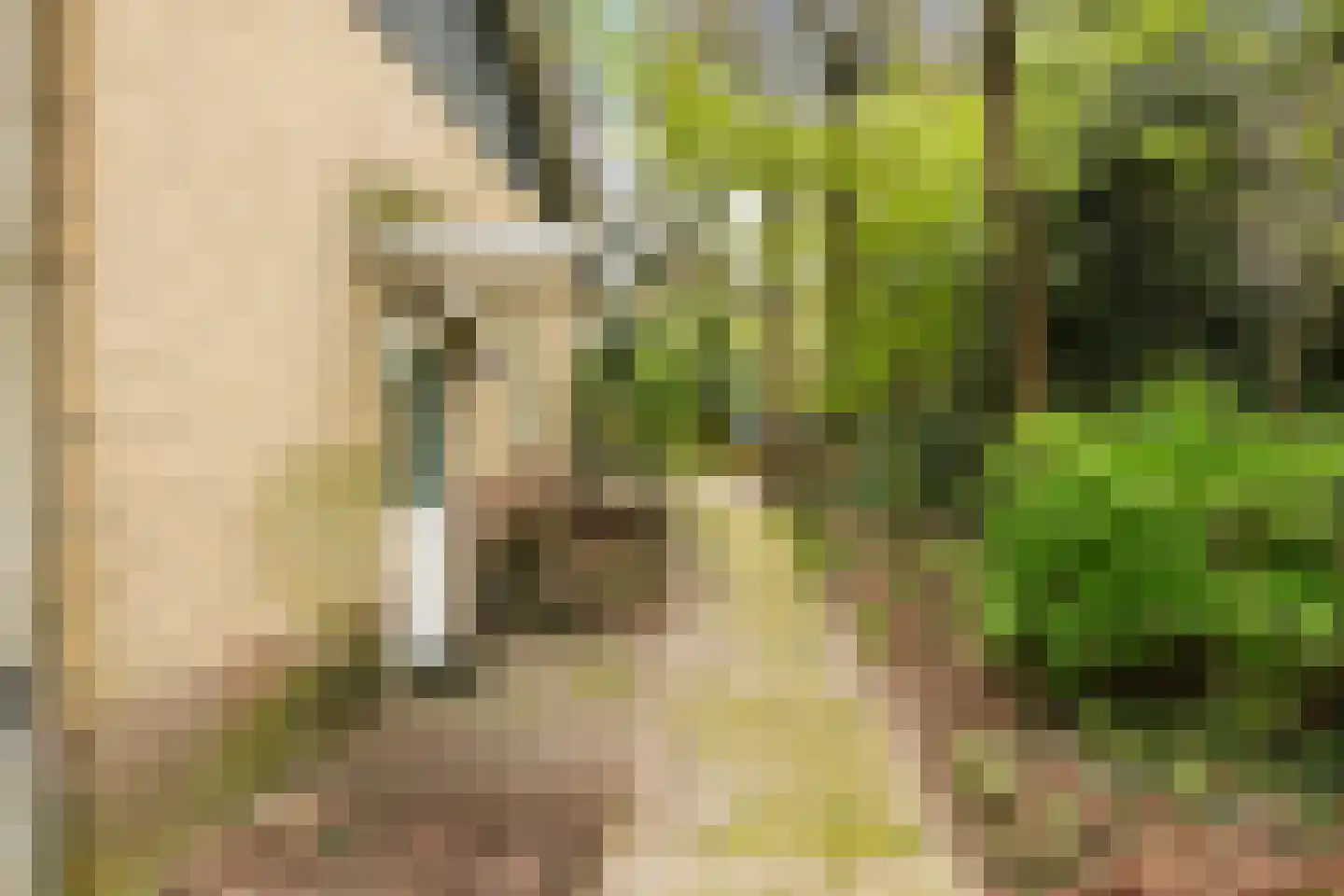Kawoepersteeg 40 47 Ermelo thumbnail 7