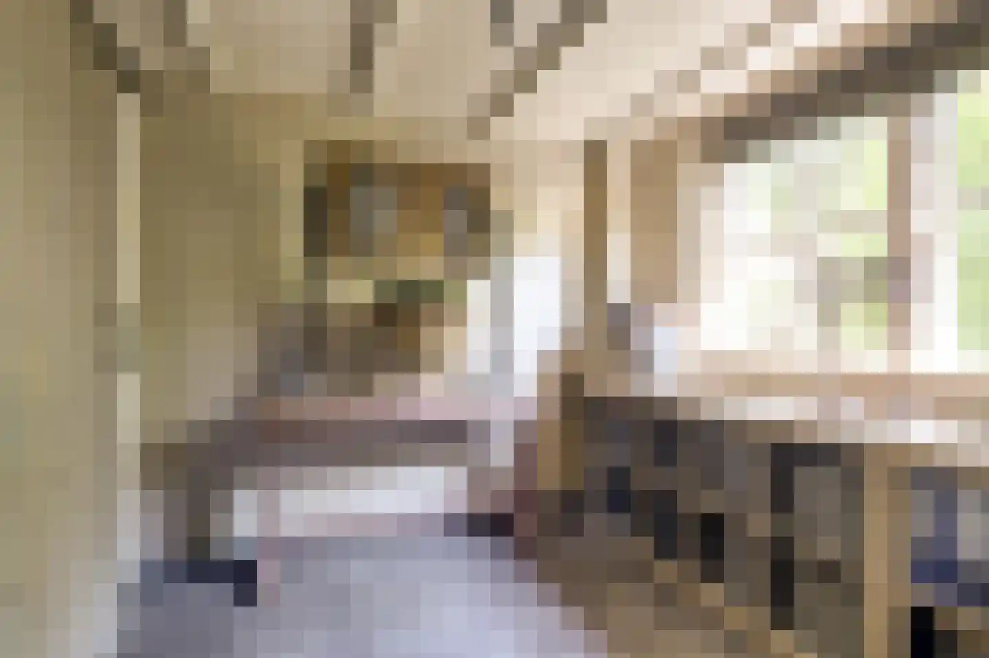 Kawoepersteeg 5 1 Ermelo thumbnail 17