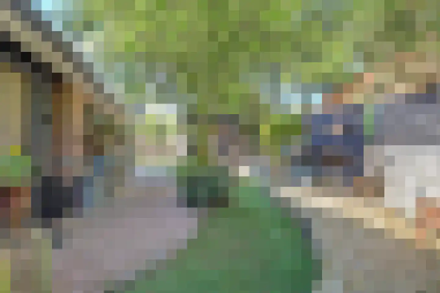 Kawoepersteeg 5 1 Ermelo thumbnail 25