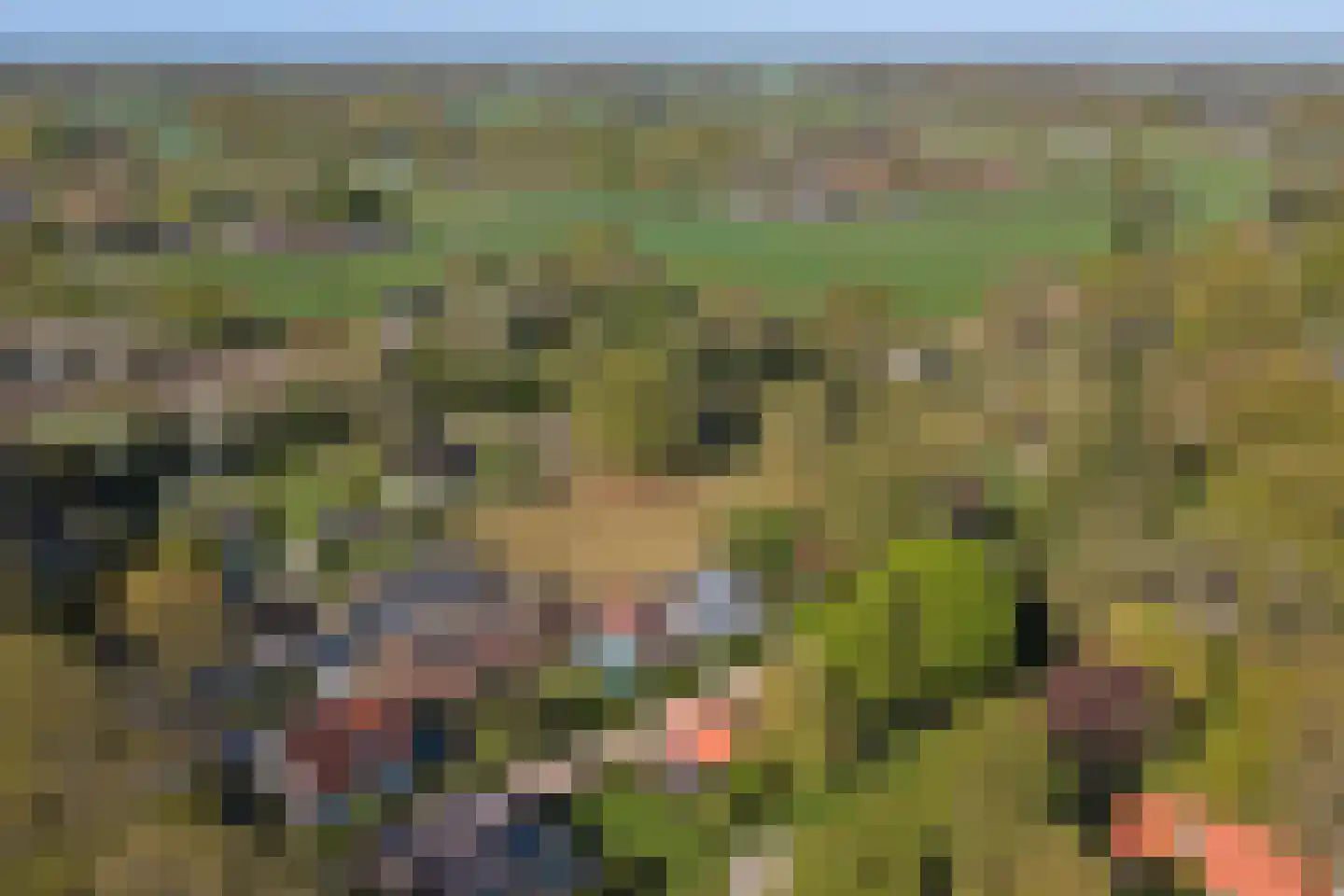 Kawoepersteeg 5 1 Ermelo thumbnail 33