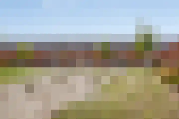 Kayersbeekhof 14 Apeldoorn thumbnail 29