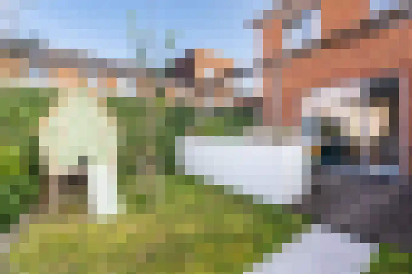 Kayersbeekhof 4 Apeldoorn thumbnail 17