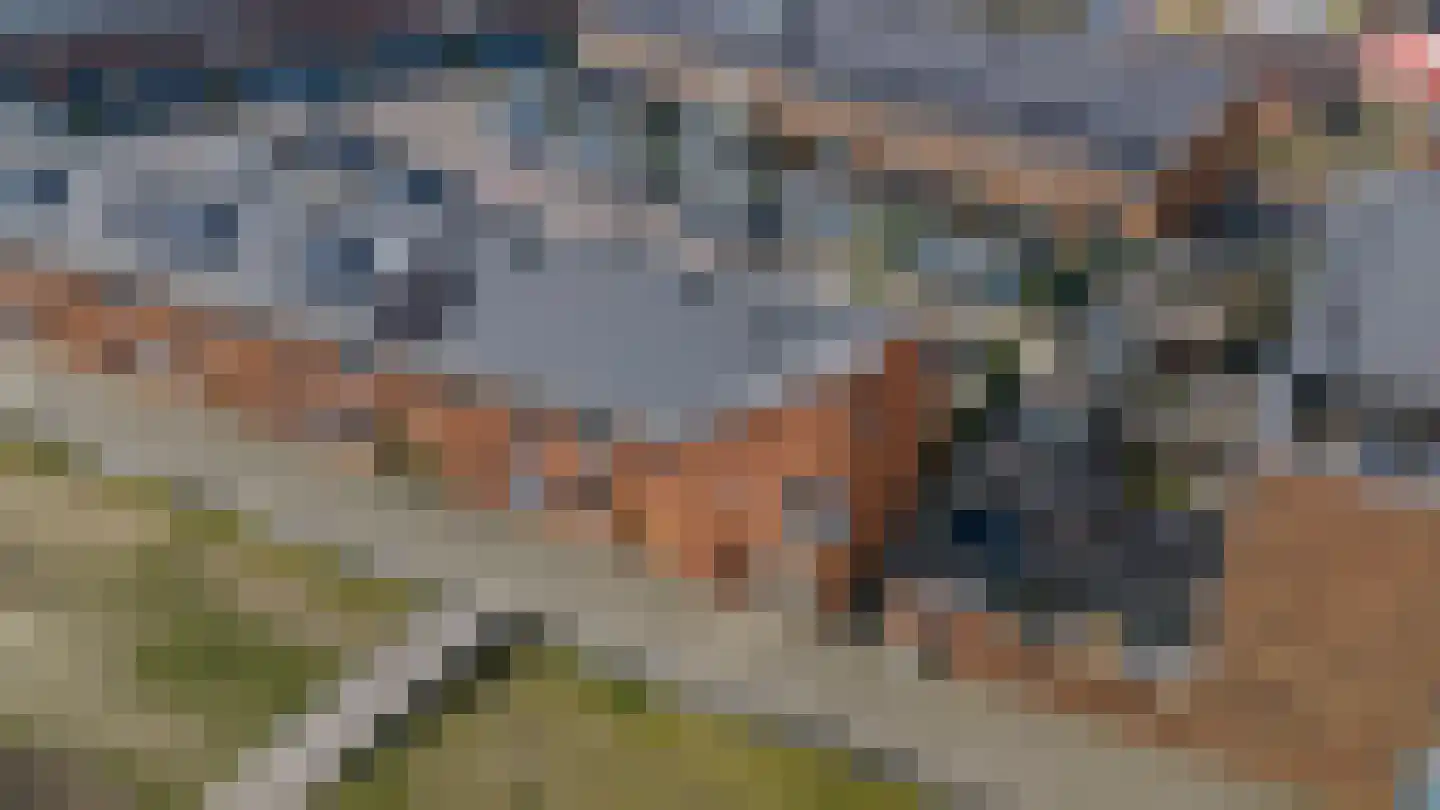 Kayersbeekhof 4 Apeldoorn thumbnail 29
