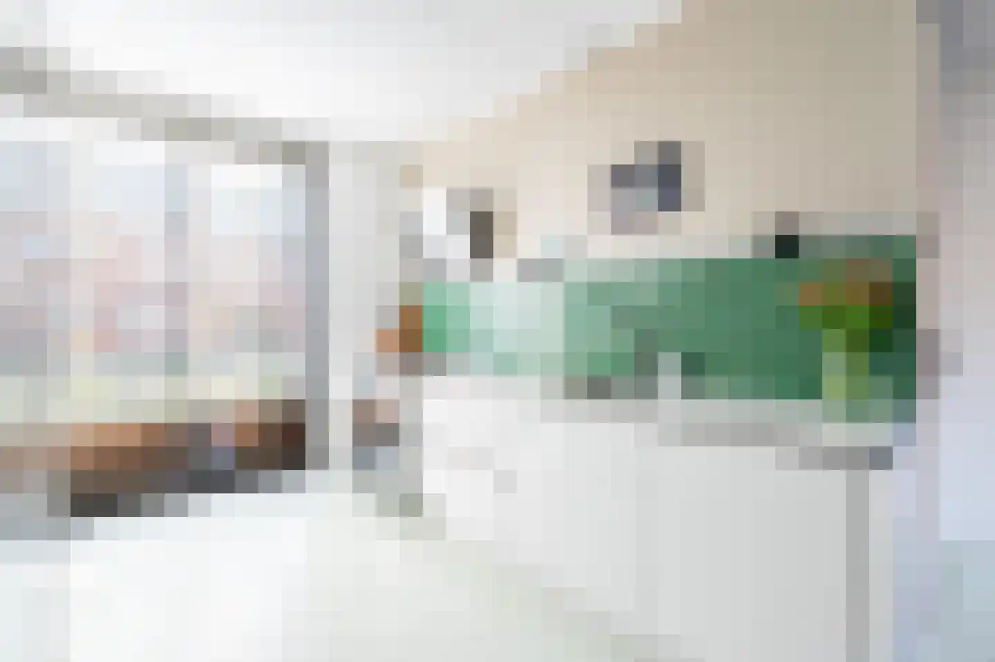 Kayersbeekhof 4 Apeldoorn thumbnail 8