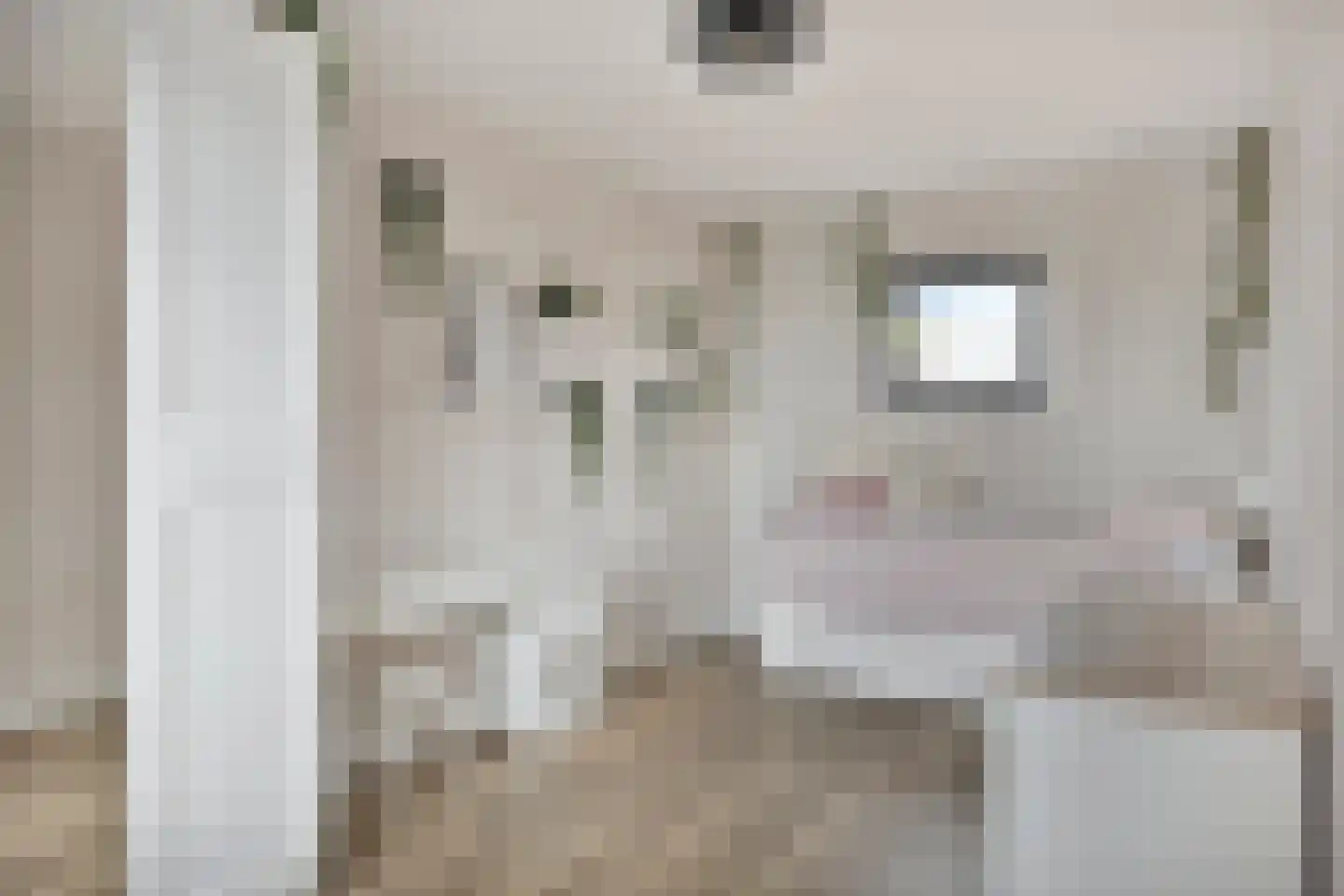 Kayersbeekhof 49 Apeldoorn thumbnail 16