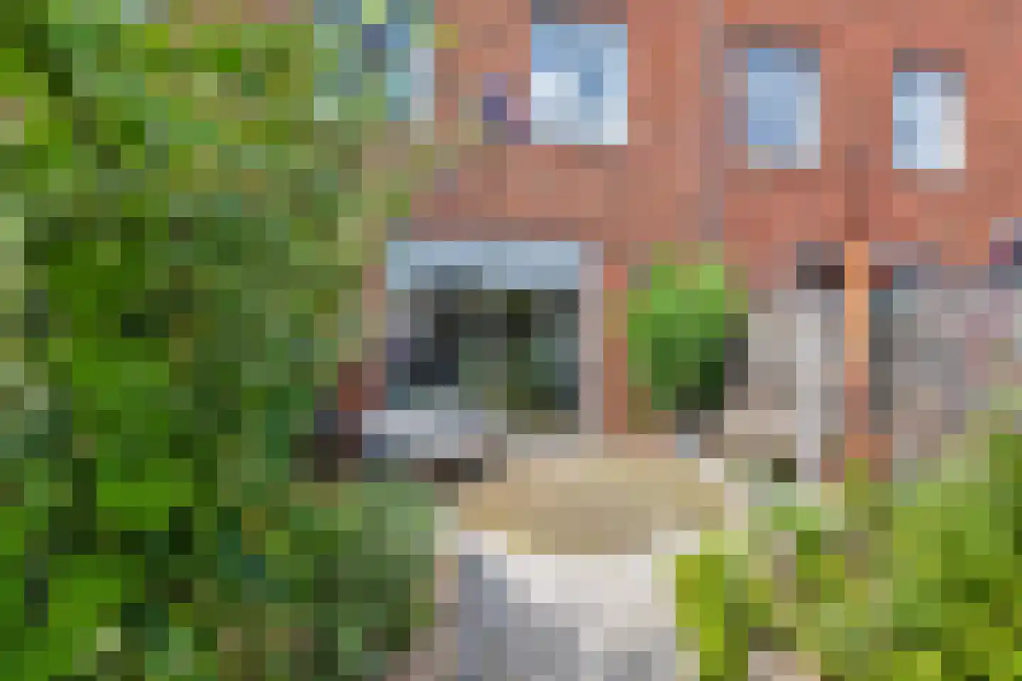 Kayersbeekhof 61 Apeldoorn thumbnail 19