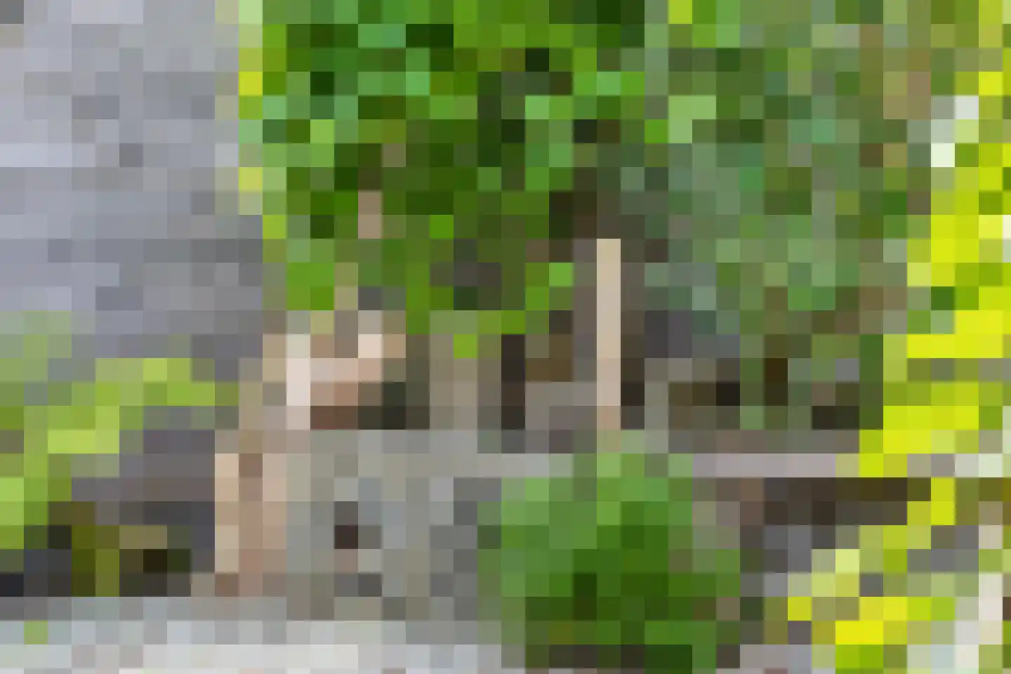 Kayersbeekhof 61 Apeldoorn thumbnail 21
