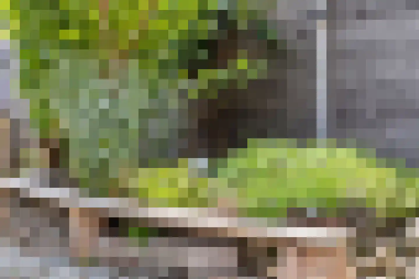 Kayersbeekhof 61 Apeldoorn thumbnail 21