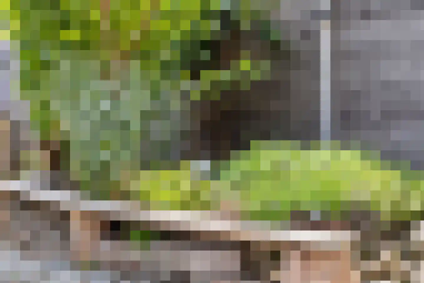Kayersbeekhof 61 Apeldoorn thumbnail 22