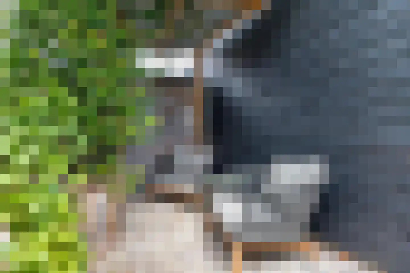 Kayersbeekhof 61 Apeldoorn thumbnail 23