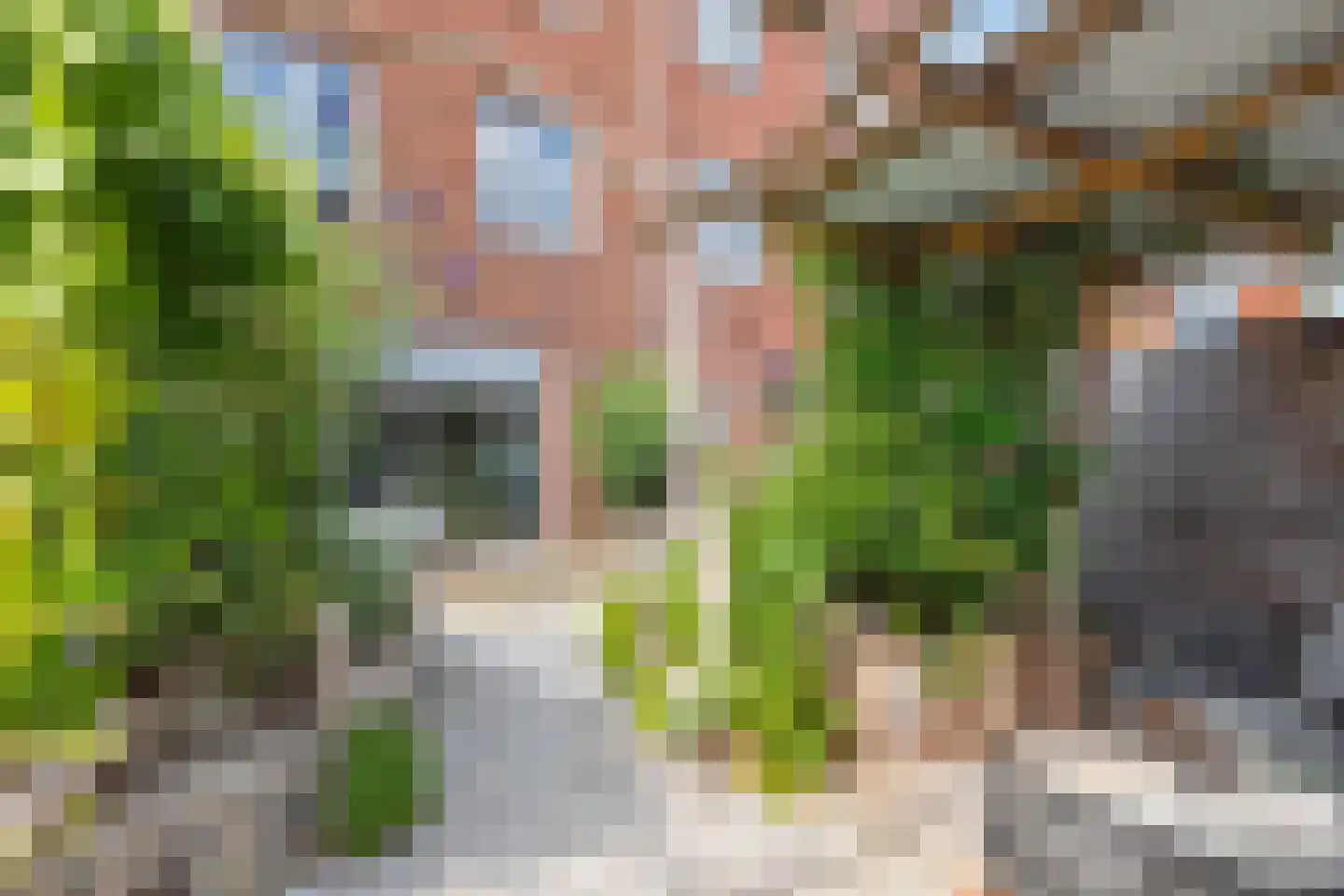 Kayersbeekhof 61 Apeldoorn thumbnail 24