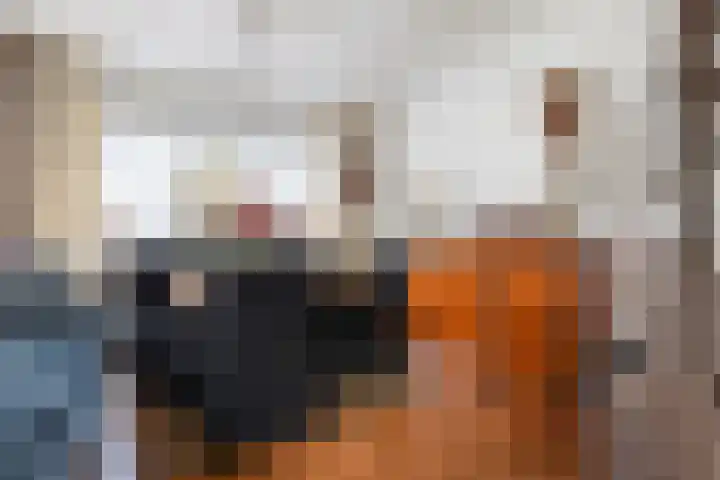 Kayersdijk 113 Apeldoorn thumbnail 10