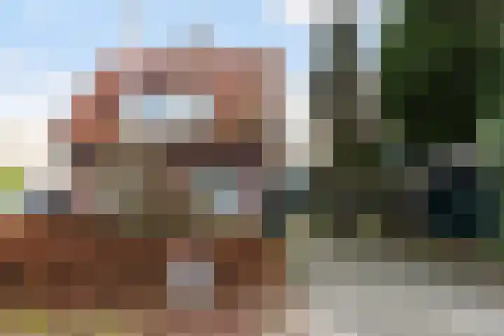 Kayersdijk 113 Apeldoorn thumbnail 26