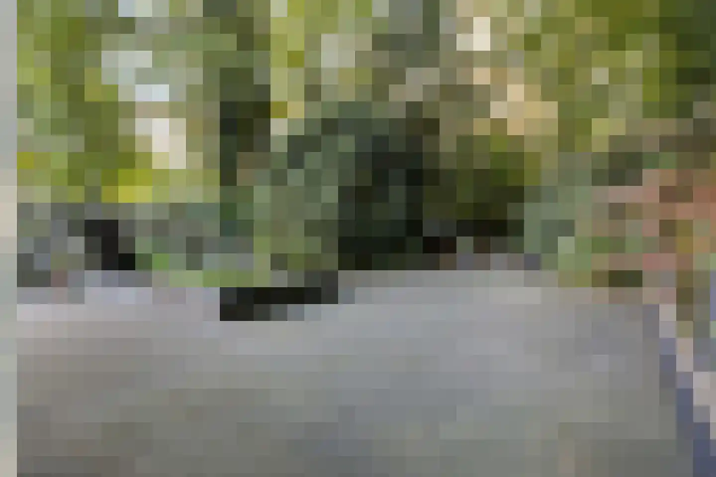 Kayersdijk 122 Apeldoorn thumbnail 45