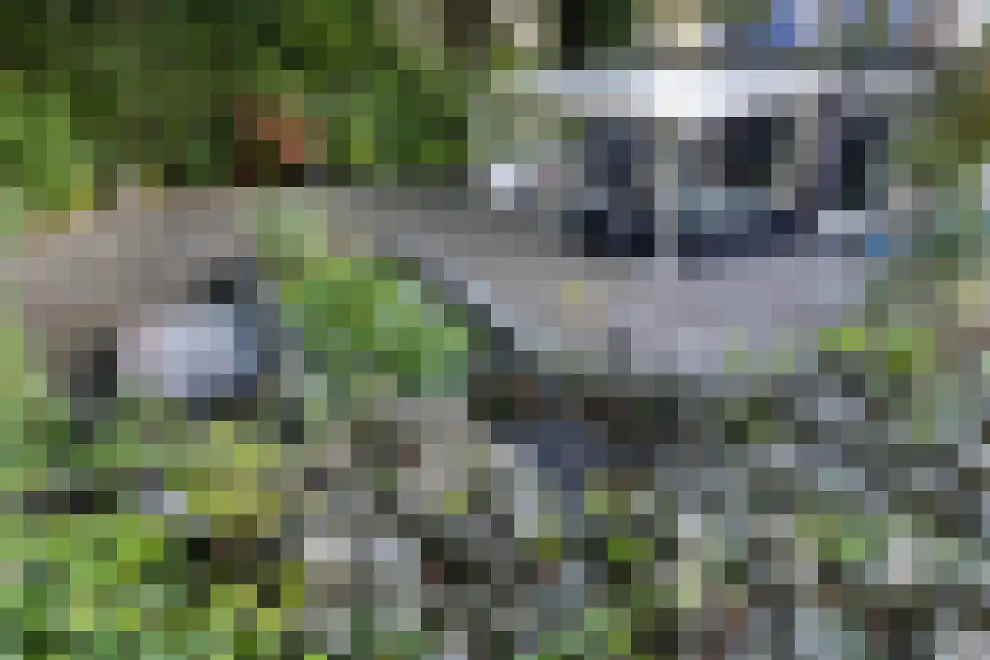 Kayersdijk 122 Apeldoorn thumbnail 47