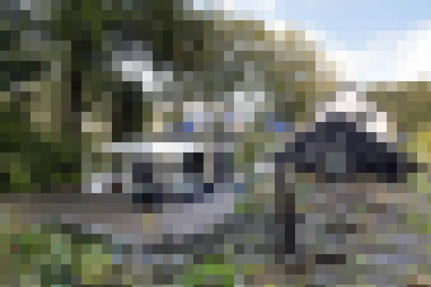 Kayersdijk 122 Apeldoorn thumbnail 48