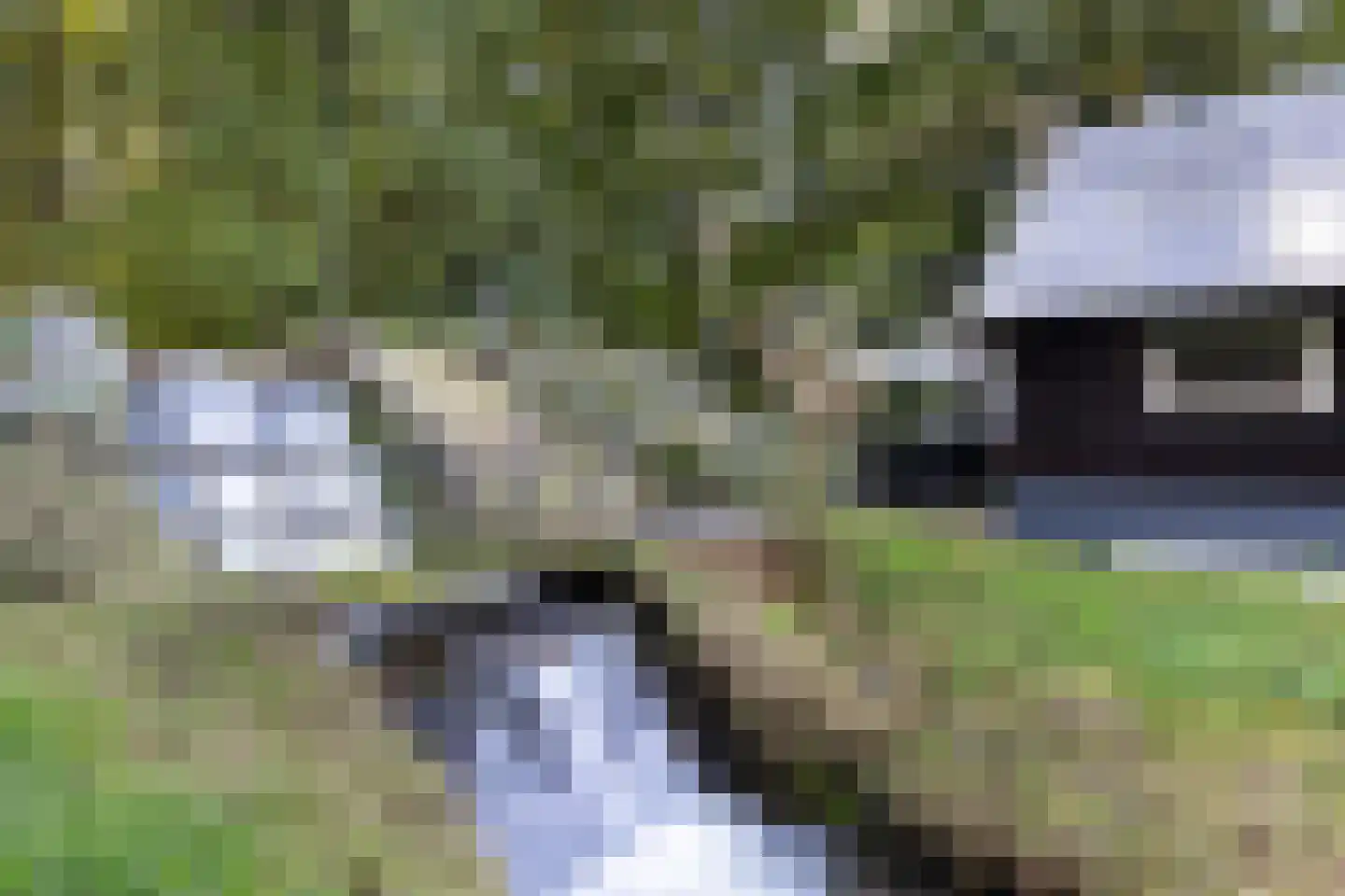 Kayersdijk 122 Apeldoorn thumbnail 51