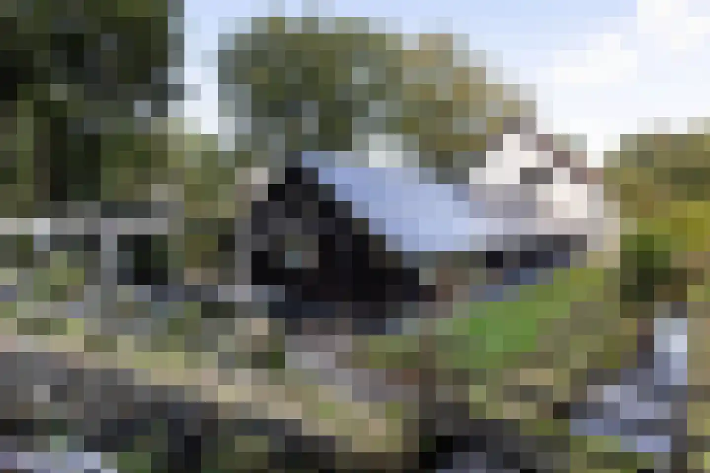Kayersdijk 122 Apeldoorn thumbnail 7