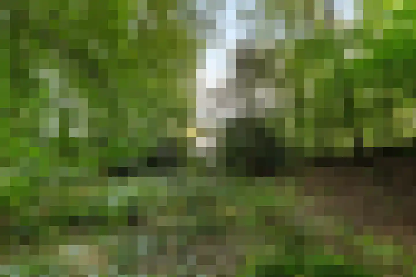 Kayersdijk 122 Apeldoorn thumbnail 95