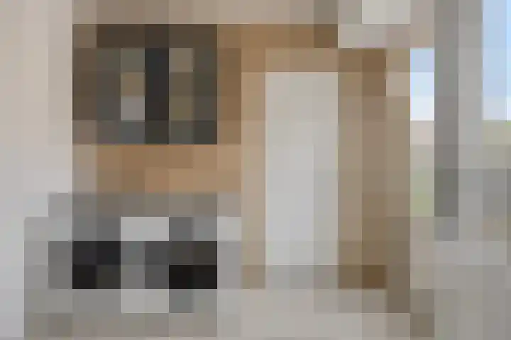 Kayersdijk 88 Apeldoorn thumbnail 12