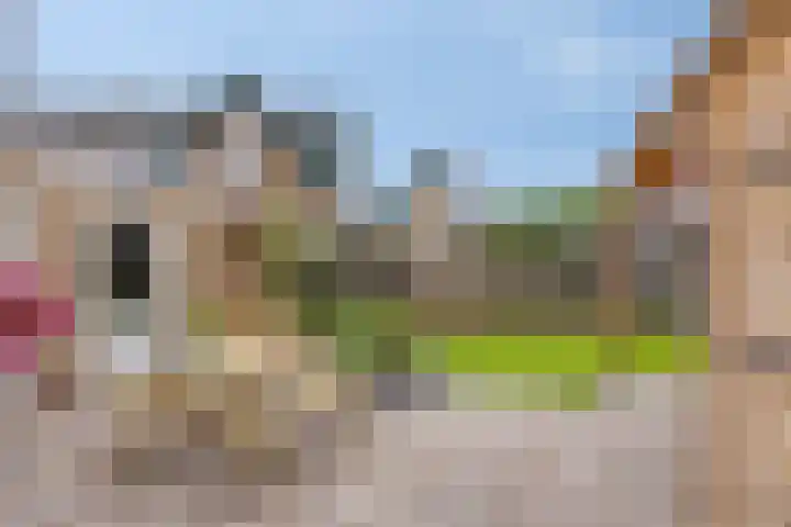Kayersdijk 88 Apeldoorn thumbnail 21