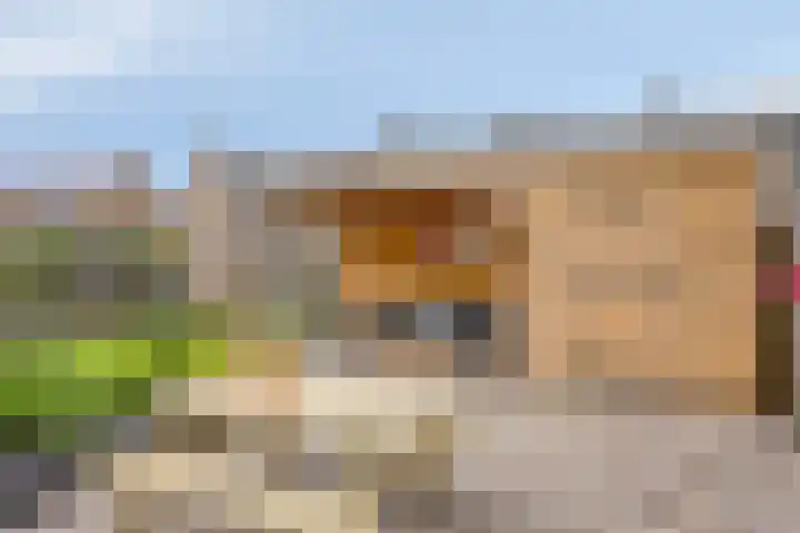 Kayersdijk 88 Apeldoorn thumbnail 22