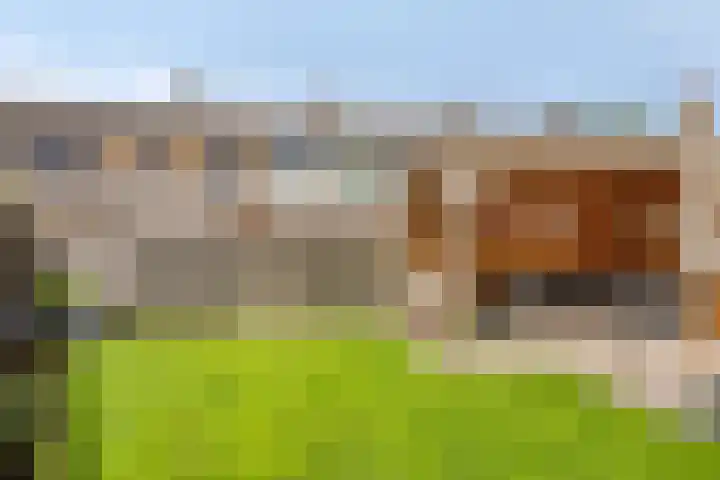 Kayersdijk 88 Apeldoorn thumbnail 24