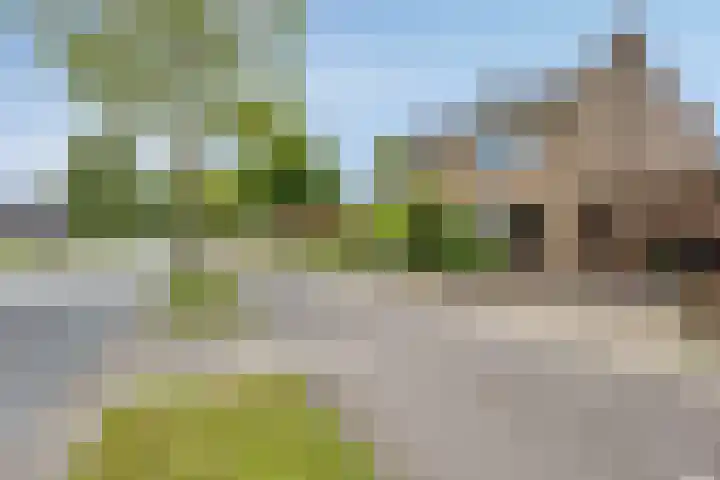 Kayersdijk 88 Apeldoorn thumbnail 29