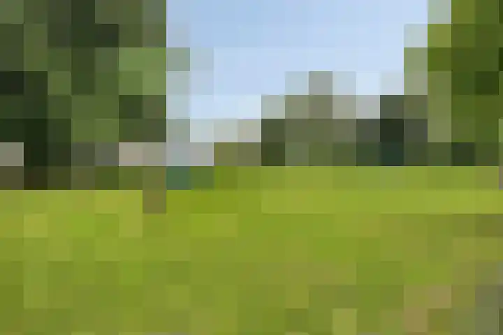 Kayersdijk 88 Apeldoorn thumbnail 30