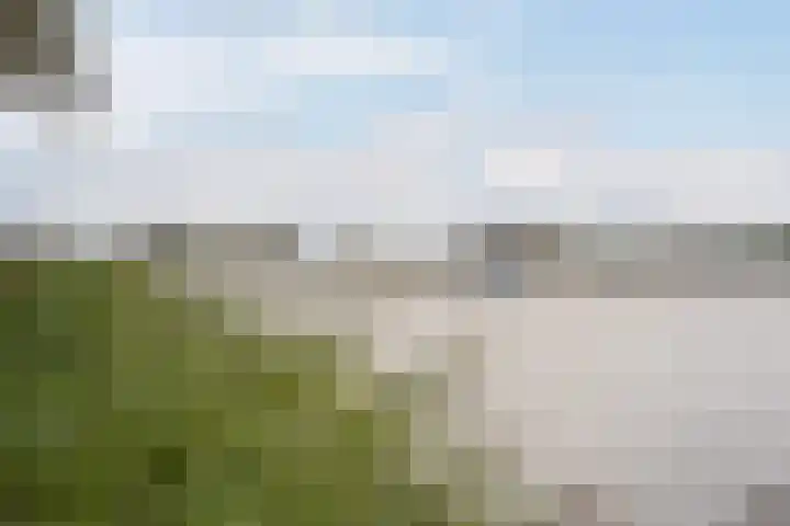 Photo of Kaylee Wittenberg