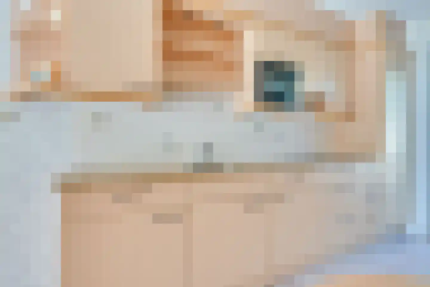 Kaystraat 4 Heerhugowaard thumbnail 14