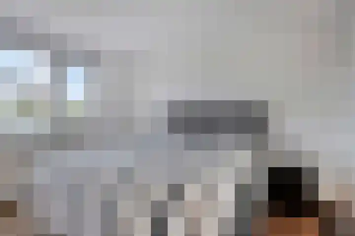 Kazemat 40 Veldhoven thumbnail 14