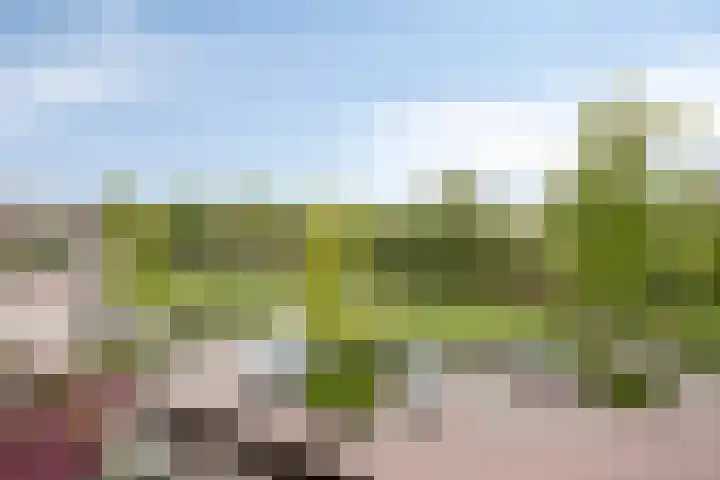 Kazemat 40 Veldhoven thumbnail 19