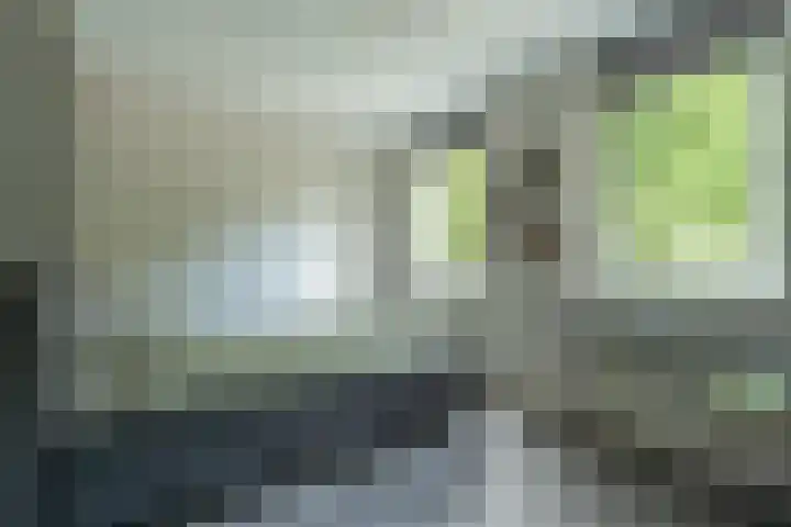 Kazemat 44 Zaltbommel thumbnail 36
