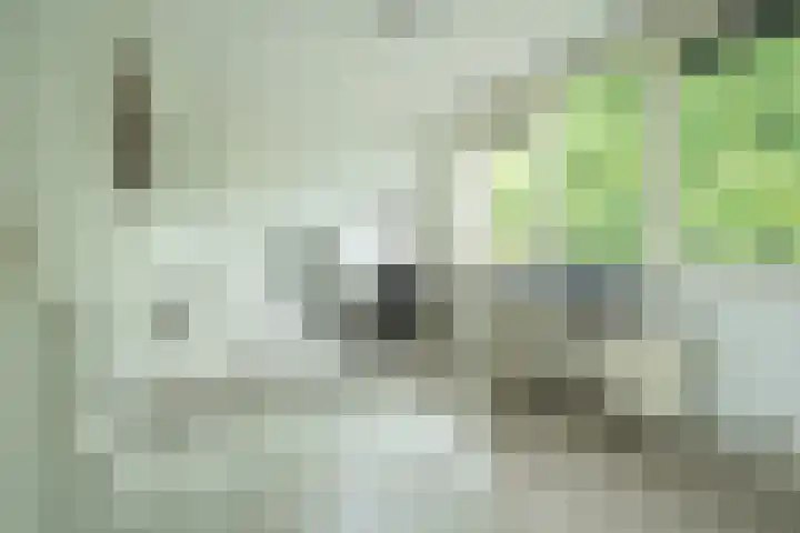 Kazemat 44 Zaltbommel thumbnail 49