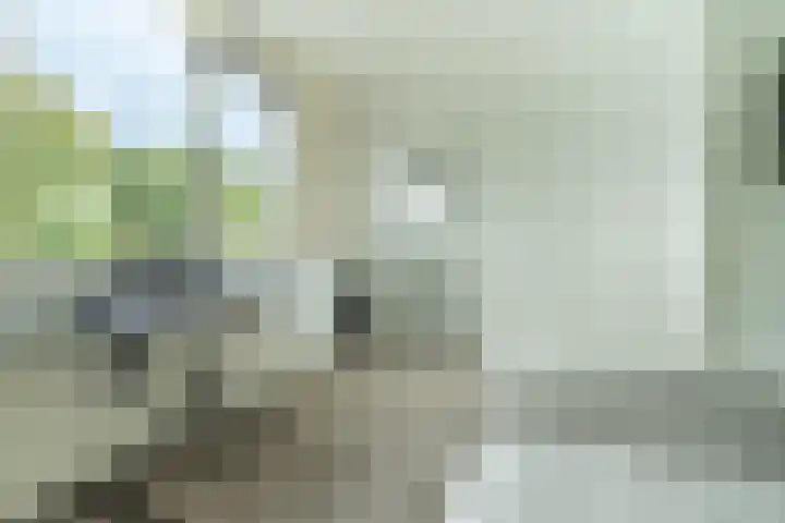 Kazemat 44 Zaltbommel thumbnail 50