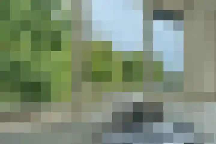 Kazemat 44 Zaltbommel thumbnail 52