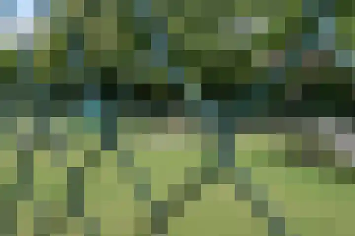 Kazemat 44 Zaltbommel thumbnail 57