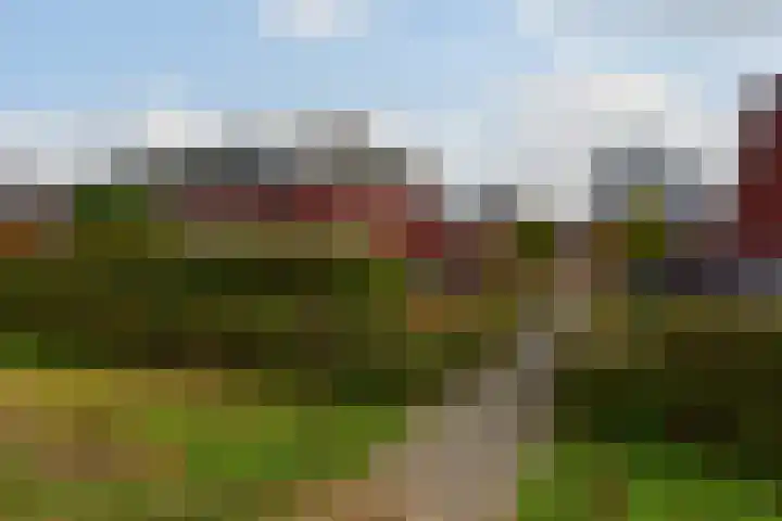 Kazemat 6 Uithoorn thumbnail 26