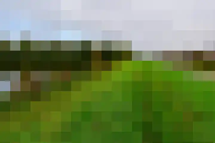 Kazemat 6 Uithoorn thumbnail 28