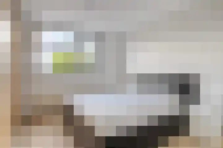 Kazemat 8 Veldhoven thumbnail 25